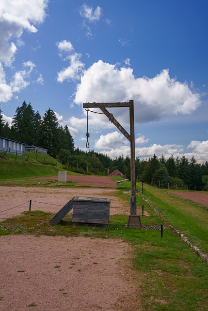 22092023-SEP09529