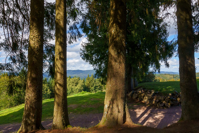 22092023-SEP09562