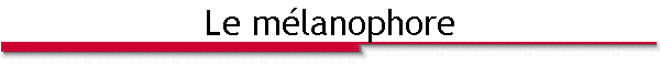 Le m�lanophore
