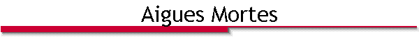 Aigues Mortes