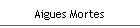 Aigues Mortes
