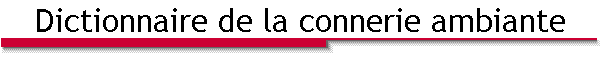 Dictionnaire de la connerie ambiante