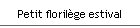 Petit floril�ge estival