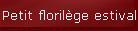 Petit floril�ge estival