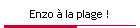 Enzo � la plage !