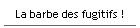 La barbe des fugitifs !