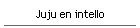 Juju en intello