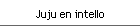 Juju en intello