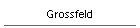 Grossfeld